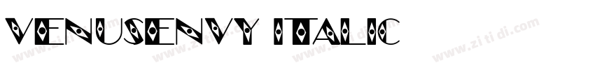 VenusEnvy Italic字体转换